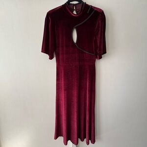 Elegant Velvet Burgundy Dress